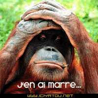 laissez vos comms